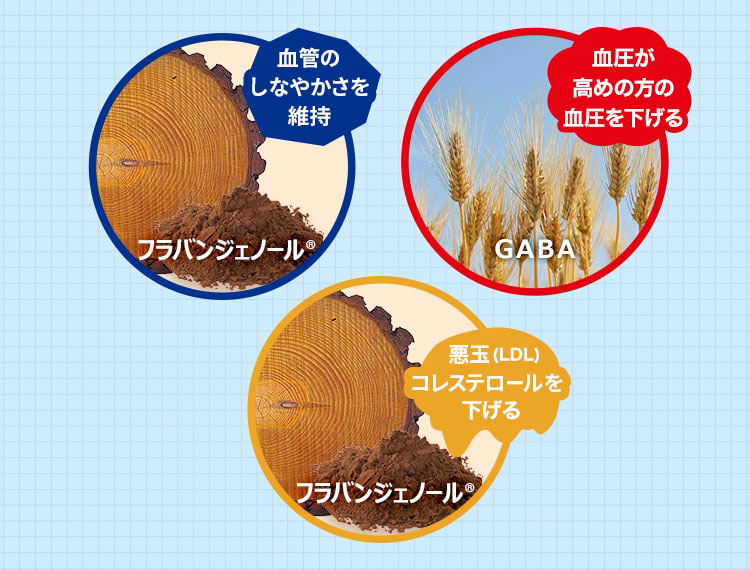 フラバンジェノール(R)「血管の柔軟性を維持」 GABA「血圧を低下させる」 フラバンジェノール(R)「悪玉(LDL)コレステロールを低下させる」