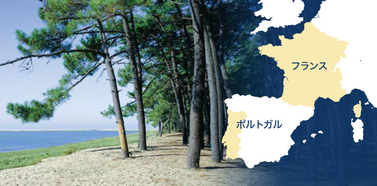 フランス ランド地方の地図