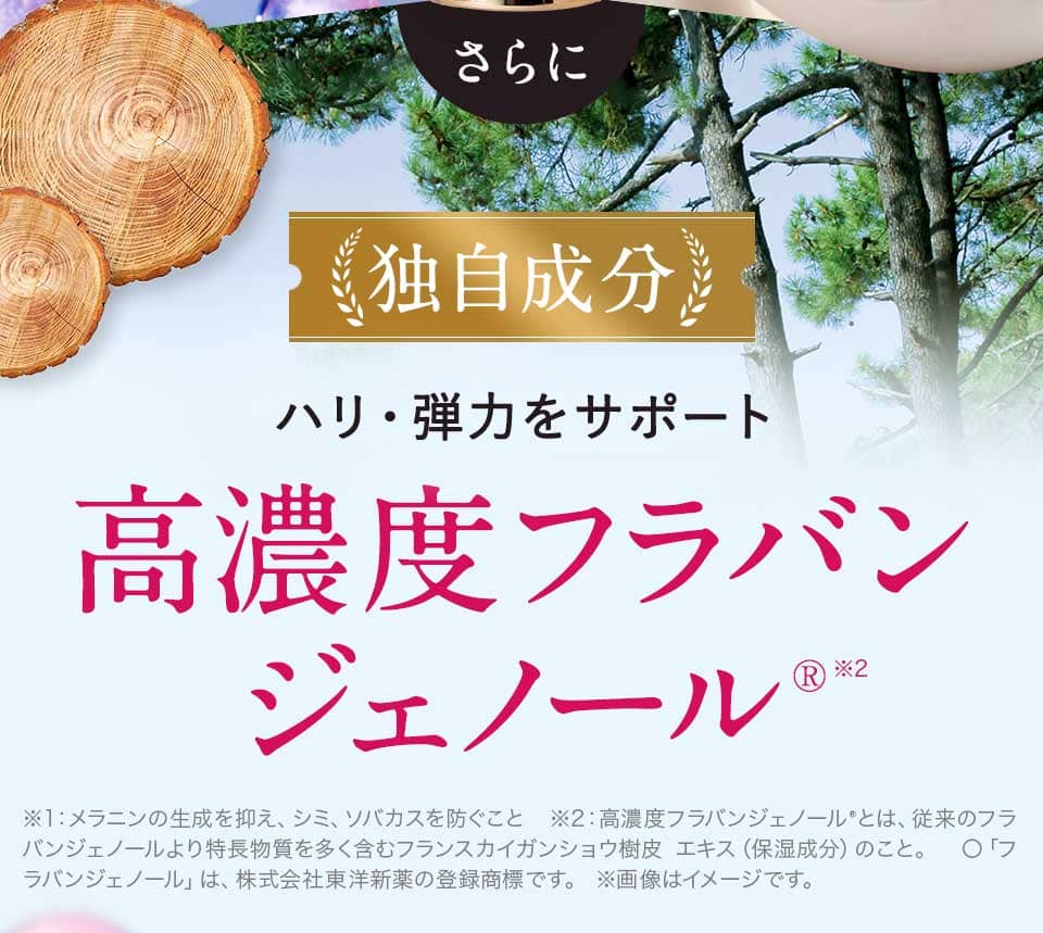 高濃度フラバンジェノール