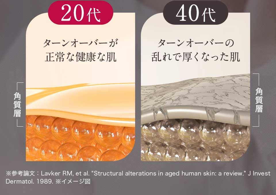 20代、40代