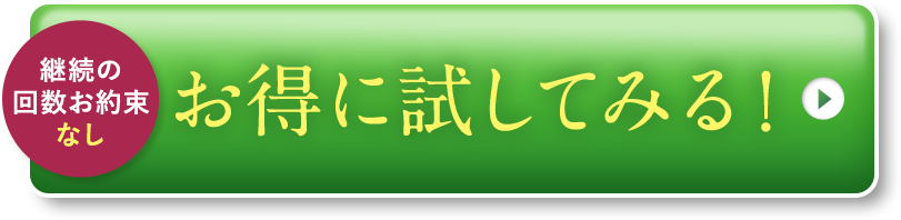 お得に試してみる