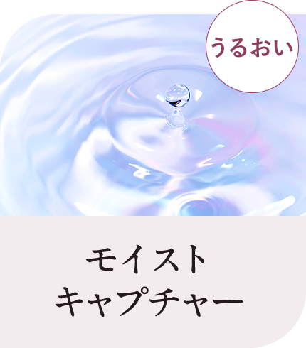 モイストキャプチャー