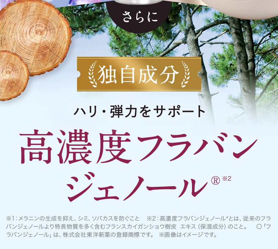 高濃度フラバンジェノール