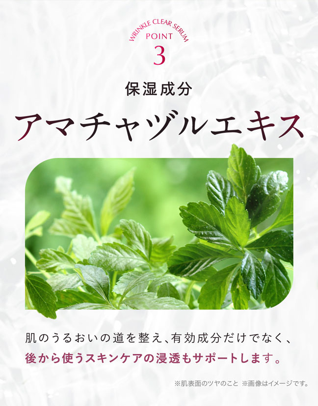 アマチャヅルエキス